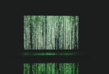 phone number verification needed