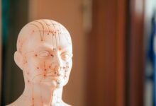 comprehensive reference file numbers