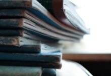 dataset record identifiers listed