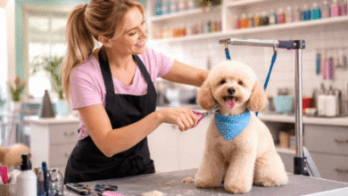 Discover Designer Paws: Stylish Pet Grooming in Upper Arlington and Westerville, OH